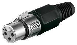 Cannon XLR contra plug