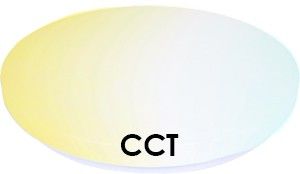 LED Plafonniere 310mm 18W 3CCT