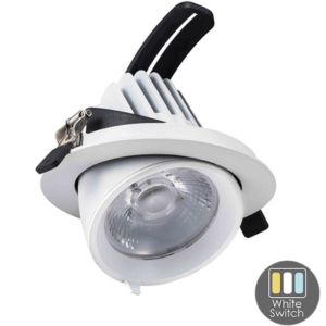 LED downlighter wit 30W 3CCT banaan model 60gr