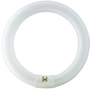 Ronde TL 40W/840 TLE coolwhite Philips