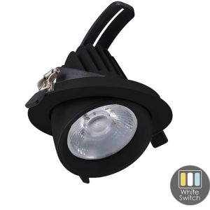LED downlighter zwart 30W 3CCT banaan model 60gr