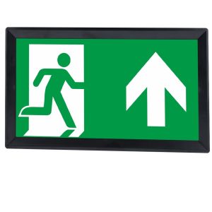 LED noodverlichting 3W in/opbouw IP40 zwart