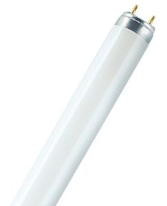 TLD 18W/865 T8 Patron
