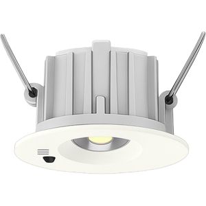 LED noodverlichting 3W inbouwspot wit