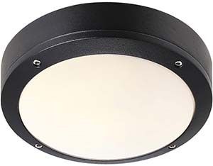 Plafonniere Desi E27 zwart IP44 22cm