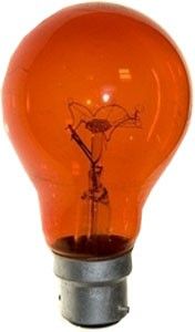 Haardvuurlamp GLS B22 60W