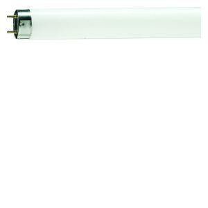TL Buis 6W/10 UV-A Philips insect