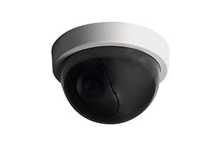 Dummy camera indoor dome met LED lampje wit