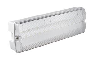 LED noodverlichting UNS net/nood IP65 prismakap